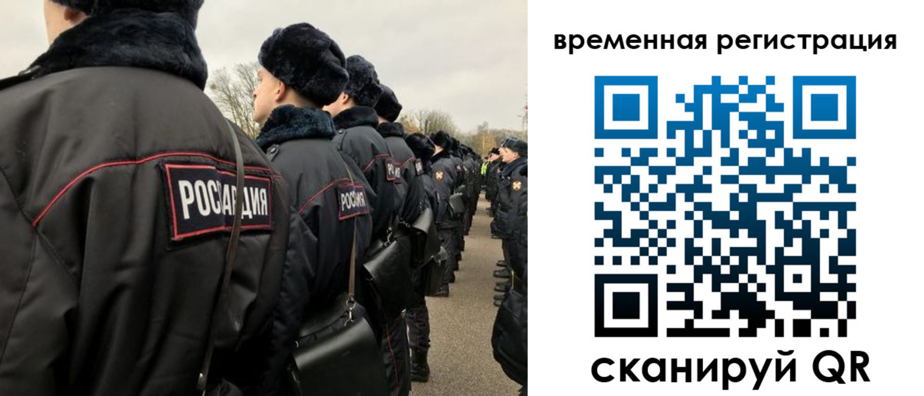 прописка гарантия в Шали
